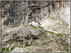 foto Rifugio Velo della Madonna